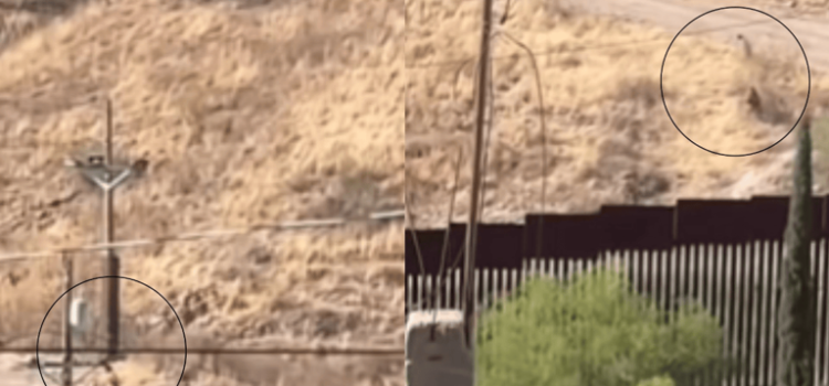 Coyotes Llevan a Migrantes a Riesgosas Rutas Subterráneas para Cruzar a Estados Unidos (Video)