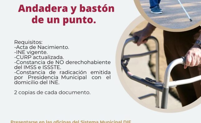 DIF Ixmiquilpan Brinda Apoyos Funcionales a Personas que lo Necesiten