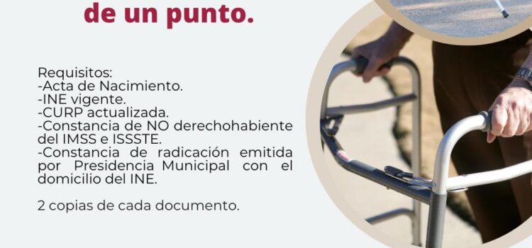 DIF Ixmiquilpan Brinda Apoyos Funcionales a Personas que lo Necesiten