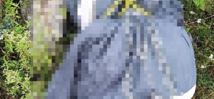 Localizan A Mujer Sin Vida En Camino Rural De Tepeji Del Río