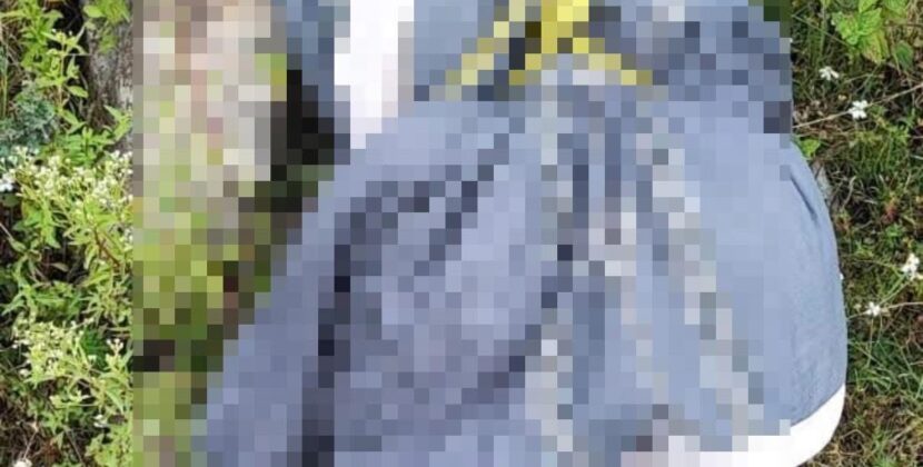 Localizan A Mujer Sin Vida En Camino Rural De Tepeji Del Río