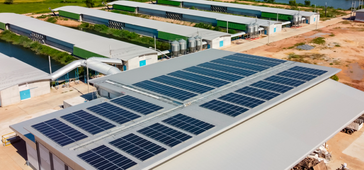 ¿Por qué la energía solar instala más que la eólica? El rol del CAPEX frente al LCOE